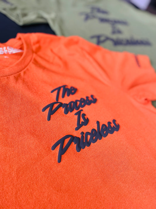 THE PROCESS IS PRICELESS